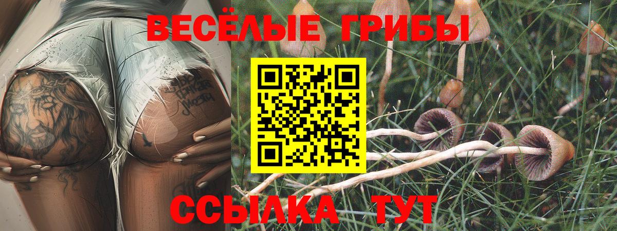 Псилоцибиновые грибы мухоморы  Вход с VPN  Прохладный  Галлюциногенные грибы Cubensis 